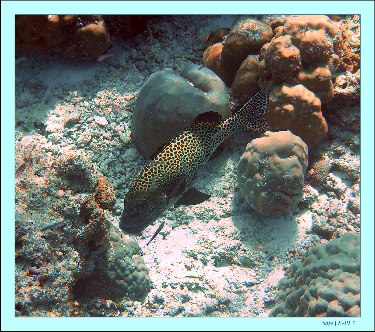 2023 - 07 - Sandies Bathala - 167